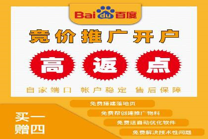 某电商平台的SEM服务托管全流程案例